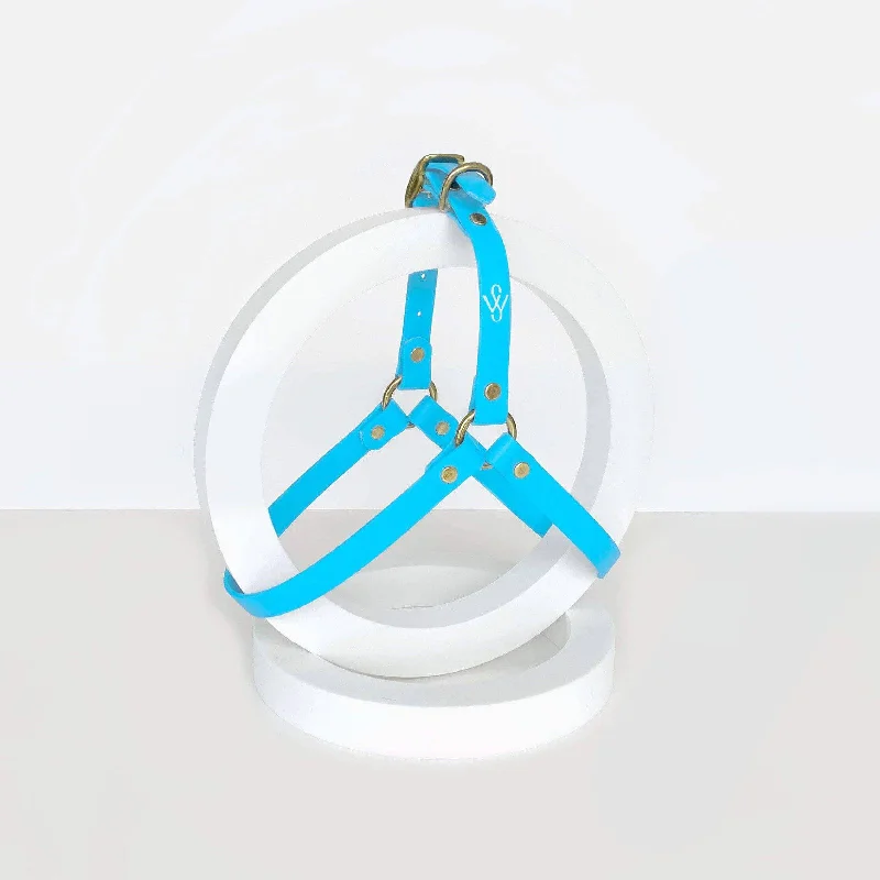 Harness | Baby Blue