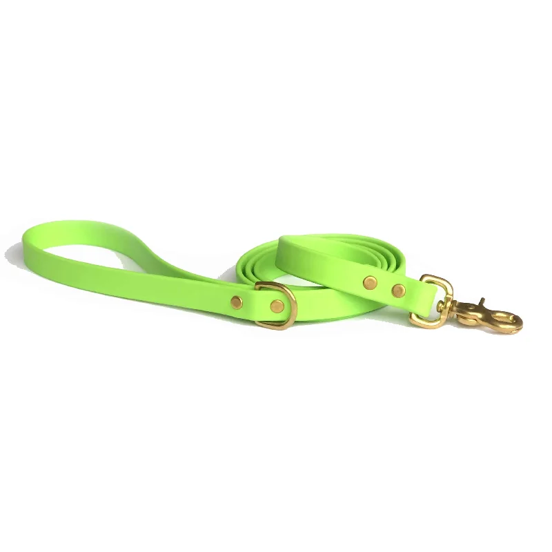 Lime Green Leash