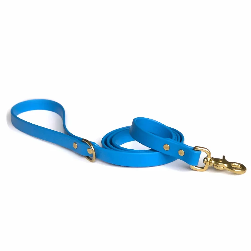 Ocean Blue Leash