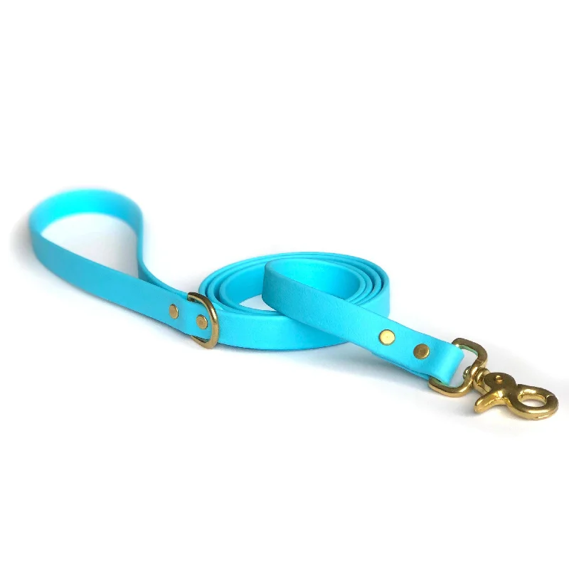 Baby Blue Leash